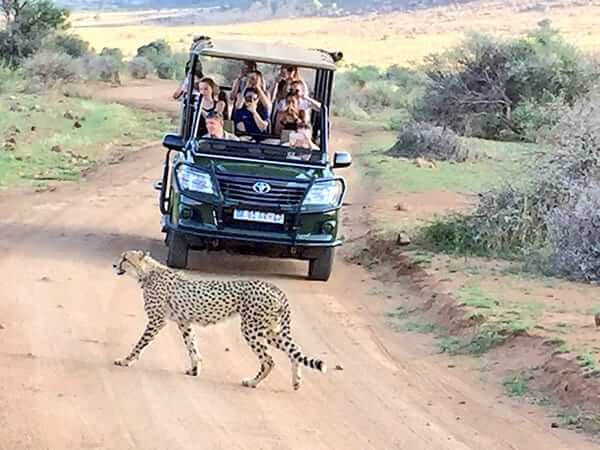 inspiresport South Africa sportstour