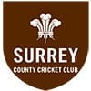 Surrey Cricket