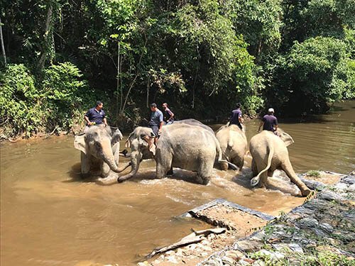 Burgess Hill Malaysia Tour with inspiresport