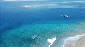 MAAVAHI-